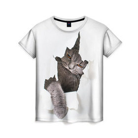 Женская футболка 3D с принтом Британец 4 в Санкт-Петербурге, 100% полиэфир ( синтетическое хлопкоподобное полотно) | прямой крой, круглый вырез горловины, длина до линии бедер | британец | британская | британцы | кот | котенок | котик | котэ | кошка