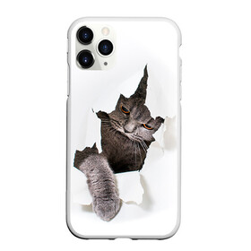 Чехол для iPhone 11 Pro матовый с принтом Британец 4 в Санкт-Петербурге, Силикон |  | британец | британская | британцы | кот | котенок | котик | котэ | кошка