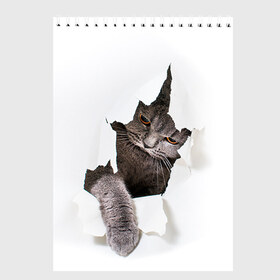 Скетчбук с принтом Британец 4 в Санкт-Петербурге, 100% бумага
 | 48 листов, плотность листов — 100 г/м2, плотность картонной обложки — 250 г/м2. Листы скреплены сверху удобной пружинной спиралью | британец | британская | британцы | кот | котенок | котик | котэ | кошка