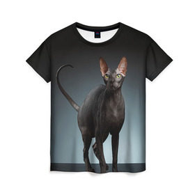 Женская футболка 3D с принтом Сфинкс 7 в Санкт-Петербурге, 100% полиэфир ( синтетическое хлопкоподобное полотно) | прямой крой, круглый вырез горловины, длина до линии бедер | кот | котенок | котик | котэ | кошка | сфинкс