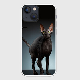 Чехол для iPhone 13 mini с принтом Сфинкс 7 в Санкт-Петербурге,  |  | кот | котенок | котик | котэ | кошка | сфинкс