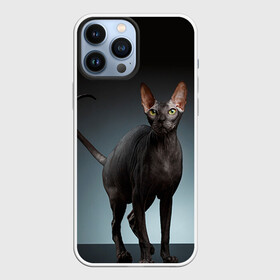 Чехол для iPhone 13 Pro Max с принтом Сфинкс 7 в Санкт-Петербурге,  |  | кот | котенок | котик | котэ | кошка | сфинкс
