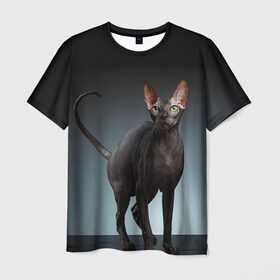 Мужская футболка 3D с принтом Сфинкс 7 в Санкт-Петербурге, 100% полиэфир | прямой крой, круглый вырез горловины, длина до линии бедер | кот | котенок | котик | котэ | кошка | сфинкс