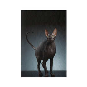 Обложка для паспорта матовая кожа с принтом Сфинкс 7 в Санкт-Петербурге, натуральная матовая кожа | размер 19,3 х 13,7 см; прозрачные пластиковые крепления | Тематика изображения на принте: кот | котенок | котик | котэ | кошка | сфинкс