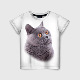 Детская футболка 3D с принтом Британец 5 в Санкт-Петербурге, 100% гипоаллергенный полиэфир | прямой крой, круглый вырез горловины, длина до линии бедер, чуть спущенное плечо, ткань немного тянется | Тематика изображения на принте: британец | британская | британцы | кот | котенок | котик | котэ | кошка