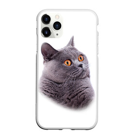 Чехол для iPhone 11 Pro матовый с принтом Британец 5 в Санкт-Петербурге, Силикон |  | британец | британская | британцы | кот | котенок | котик | котэ | кошка