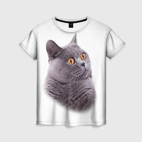 Женская футболка 3D с принтом Британец 5 в Санкт-Петербурге, 100% полиэфир ( синтетическое хлопкоподобное полотно) | прямой крой, круглый вырез горловины, длина до линии бедер | Тематика изображения на принте: британец | британская | британцы | кот | котенок | котик | котэ | кошка