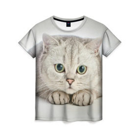 Женская футболка 3D с принтом Британец 6 в Санкт-Петербурге, 100% полиэфир ( синтетическое хлопкоподобное полотно) | прямой крой, круглый вырез горловины, длина до линии бедер | британец | британская | британцы | кот | котенок | котик | котэ | кошка