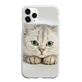 Чехол для iPhone 11 Pro Max матовый с принтом Британец 6 в Санкт-Петербурге, Силикон |  | британец | британская | британцы | кот | котенок | котик | котэ | кошка