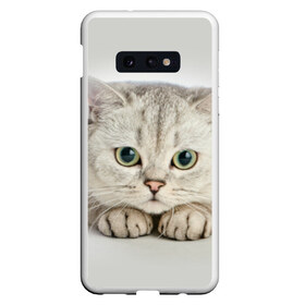 Чехол для Samsung S10E с принтом Британец 6 в Санкт-Петербурге, Силикон | Область печати: задняя сторона чехла, без боковых панелей | британец | британская | британцы | кот | котенок | котик | котэ | кошка
