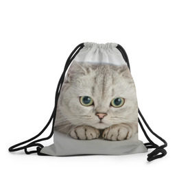 Рюкзак-мешок 3D с принтом Британец 6 в Санкт-Петербурге, 100% полиэстер | плотность ткани — 200 г/м2, размер — 35 х 45 см; лямки — толстые шнурки, застежка на шнуровке, без карманов и подкладки | британец | британская | британцы | кот | котенок | котик | котэ | кошка