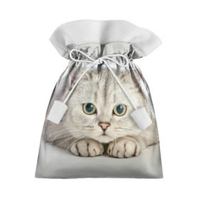 Подарочный 3D мешок с принтом Британец 6 в Санкт-Петербурге, 100% полиэстер | Размер: 29*39 см | британец | британская | британцы | кот | котенок | котик | котэ | кошка