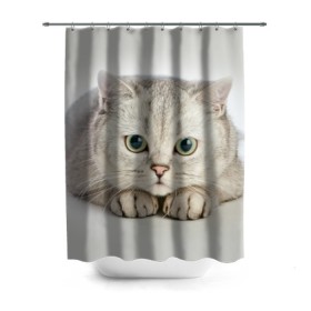 Штора 3D для ванной с принтом Британец 6 в Санкт-Петербурге, 100% полиэстер | плотность материала — 100 г/м2. Стандартный размер — 146 см х 180 см. По верхнему краю — пластиковые люверсы для креплений. В комплекте 10 пластиковых колец | британец | британская | британцы | кот | котенок | котик | котэ | кошка
