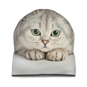 Шапка 3D с принтом Британец 6 в Санкт-Петербурге, 100% полиэстер | универсальный размер, печать по всей поверхности изделия | британец | британская | британцы | кот | котенок | котик | котэ | кошка