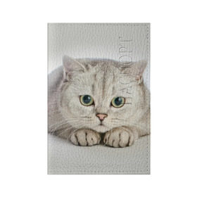 Обложка для паспорта матовая кожа с принтом Британец 6 в Санкт-Петербурге, натуральная матовая кожа | размер 19,3 х 13,7 см; прозрачные пластиковые крепления | британец | британская | британцы | кот | котенок | котик | котэ | кошка