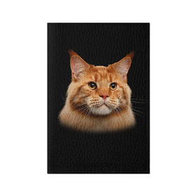 Обложка для паспорта матовая кожа с принтом Мейн-кун 6 в Санкт-Петербурге, натуральная матовая кожа | размер 19,3 х 13,7 см; прозрачные пластиковые крепления | кот | котенок | котик | котэ | кошка | мейн кун | мейнкун | мэйн кун | мэйнкун