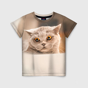 Детская футболка 3D с принтом Британец 7 в Санкт-Петербурге, 100% гипоаллергенный полиэфир | прямой крой, круглый вырез горловины, длина до линии бедер, чуть спущенное плечо, ткань немного тянется | британец | британская | британцы | кот | котенок | котик | котэ | кошка