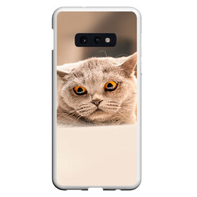Чехол для Samsung S10E с принтом Британец 7 в Санкт-Петербурге, Силикон | Область печати: задняя сторона чехла, без боковых панелей | британец | британская | британцы | кот | котенок | котик | котэ | кошка