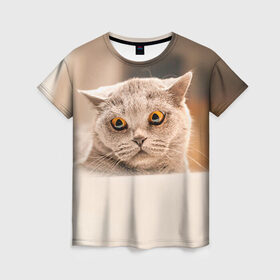 Женская футболка 3D с принтом Британец 7 в Санкт-Петербурге, 100% полиэфир ( синтетическое хлопкоподобное полотно) | прямой крой, круглый вырез горловины, длина до линии бедер | британец | британская | британцы | кот | котенок | котик | котэ | кошка
