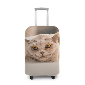 Чехол для чемодана 3D с принтом Британец 7 в Санкт-Петербурге, 86% полиэфир, 14% спандекс | двустороннее нанесение принта, прорези для ручек и колес | Тематика изображения на принте: британец | британская | британцы | кот | котенок | котик | котэ | кошка