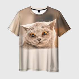Мужская футболка 3D с принтом Британец 7 в Санкт-Петербурге, 100% полиэфир | прямой крой, круглый вырез горловины, длина до линии бедер | британец | британская | британцы | кот | котенок | котик | котэ | кошка