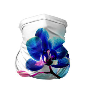 Бандана-труба 3D с принтом Орхидея в Санкт-Петербурге, 100% полиэстер, ткань с особыми свойствами — Activecool | плотность 150‒180 г/м2; хорошо тянется, но сохраняет форму | лютики | синий | цветы