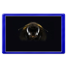 Магнит 45*70 с принтом Пчела в Санкт-Петербурге, Пластик | Размер: 78*52 мм; Размер печати: 70*45 | глаза | насекомое | оса | пчела