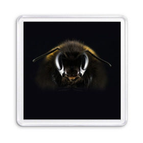 Магнит 55*55 с принтом Пчела в Санкт-Петербурге, Пластик | Размер: 65*65 мм; Размер печати: 55*55 мм | глаза | насекомое | оса | пчела