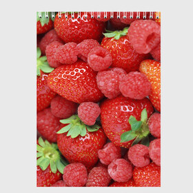 Скетчбук с принтом Ягоды в Санкт-Петербурге, 100% бумага
 | 48 листов, плотность листов — 100 г/м2, плотность картонной обложки — 250 г/м2. Листы скреплены сверху удобной пружинной спиралью | десерт | еда | клубника | красный | малина | сладкое | ягоды