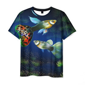 Мужская футболка 3D с принтом Аквариумные рыбки в Санкт-Петербурге, 100% полиэфир | прямой крой, круглый вырез горловины, длина до линии бедер | аквариум | вода | водоросли | природа | рыба | рыбка | туризм
