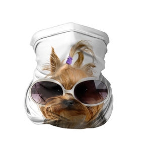 Бандана-труба 3D с принтом Модница в Санкт-Петербурге, 100% полиэстер, ткань с особыми свойствами — Activecool | плотность 150‒180 г/м2; хорошо тянется, но сохраняет форму | Тематика изображения на принте: fashion | животное | красавица | лучший друг | модница | няша | очки | причёска | собака | собачка | щенок | щеночек