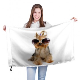Флаг 3D с принтом Модница в Санкт-Петербурге, 100% полиэстер | плотность ткани — 95 г/м2, размер — 67 х 109 см. Принт наносится с одной стороны | fashion | животное | красавица | лучший друг | модница | няша | очки | причёска | собака | собачка | щенок | щеночек