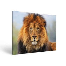 Холст прямоугольный с принтом Красавец лев в Санкт-Петербурге, 100% ПВХ |  | Тематика изображения на принте: lion | грива | дикая кошка | добыча | животное | зверь | клыки | когти | король джунглей | лев | мясо | хищник | царь зверей