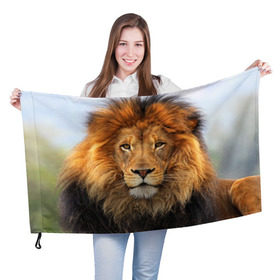 Флаг 3D с принтом Красавец лев в Санкт-Петербурге, 100% полиэстер | плотность ткани — 95 г/м2, размер — 67 х 109 см. Принт наносится с одной стороны | lion | грива | дикая кошка | добыча | животное | зверь | клыки | когти | король джунглей | лев | мясо | хищник | царь зверей