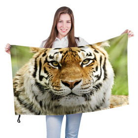 Флаг 3D с принтом Амурский тигр в Санкт-Петербурге, 100% полиэстер | плотность ткани — 95 г/м2, размер — 67 х 109 см. Принт наносится с одной стороны | амурский | дикая кошка | добыча | животное | зверь | клыки | когти | мясо | тигр | уссурийский | хищник