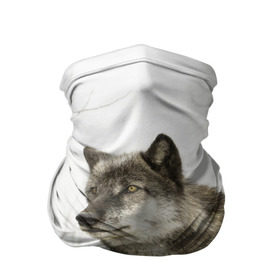 Бандана-труба 3D с принтом Волк во весь рост в Санкт-Петербурге, 100% полиэстер, ткань с особыми свойствами — Activecool | плотность 150‒180 г/м2; хорошо тянется, но сохраняет форму | волк | хищник