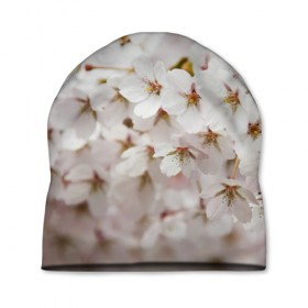 Шапка 3D с принтом Весеннее цветение в Санкт-Петербурге, 100% полиэстер | универсальный размер, печать по всей поверхности изделия | белый | весна | лепестки | прикольные картинки | цветочки | цветы
