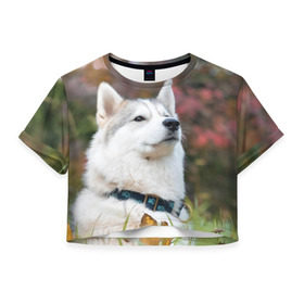 Женская футболка 3D укороченная с принтом Хаски в Санкт-Петербурге, 100% полиэстер | круглая горловина, длина футболки до линии талии, рукава с отворотами | Тематика изображения на принте: лайка | маламут | песик | песики | собака | собаки | хаски