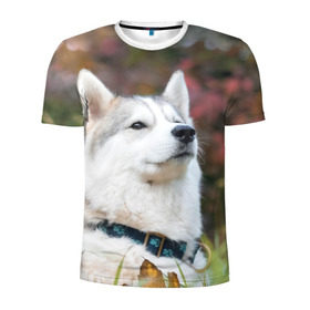 Мужская футболка 3D спортивная с принтом Хаски в Санкт-Петербурге, 100% полиэстер с улучшенными характеристиками | приталенный силуэт, круглая горловина, широкие плечи, сужается к линии бедра | лайка | маламут | песик | песики | собака | собаки | хаски
