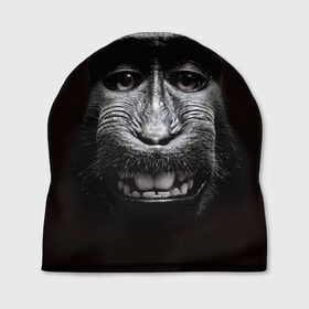 Шапка 3D с принтом обезьяна в Санкт-Петербурге, 100% полиэстер | универсальный размер, печать по всей поверхности изделия | взгляд | голова | животные | обезьяна | природа
