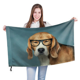 Флаг 3D с принтом Бигль в Санкт-Петербурге, 100% полиэстер | плотность ткани — 95 г/м2, размер — 67 х 109 см. Принт наносится с одной стороны | бигль | гончая | дворняжка | охотничья | песик | песики | собака | собаки