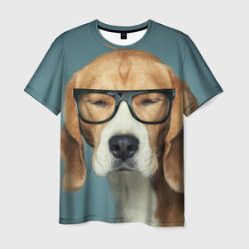 Мужская футболка 3D с принтом Бигль в Санкт-Петербурге, 100% полиэфир | прямой крой, круглый вырез горловины, длина до линии бедер | бигль | гончая | дворняжка | охотничья | песик | песики | собака | собаки