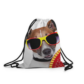 Рюкзак-мешок 3D с принтом Джек Рассел с веером в Санкт-Петербурге, 100% полиэстер | плотность ткани — 200 г/м2, размер — 35 х 45 см; лямки — толстые шнурки, застежка на шнуровке, без карманов и подкладки | джек рассел | песик | песики | собака | собаки | терьер