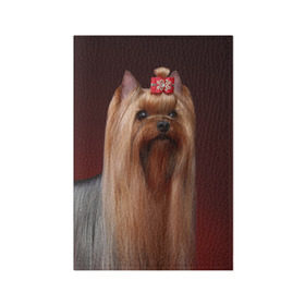 Обложка для паспорта матовая кожа с принтом Йоркширский терьер в Санкт-Петербурге, натуральная матовая кожа | размер 19,3 х 13,7 см; прозрачные пластиковые крепления | Тематика изображения на принте: йоркширский | песик | песики | собака | собаки | терьер