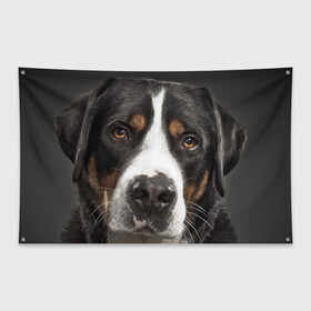 Флаг-баннер с принтом Зенненхунд в Санкт-Петербурге, 100% полиэстер | размер 67 х 109 см, плотность ткани — 95 г/м2; по краям флага есть четыре люверса для крепления | большая собака | зенненхунд | пес | песик | сенбернар | собака | собаки