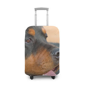 Чехол для чемодана 3D с принтом Ротвейлер в Санкт-Петербурге, 86% полиэфир, 14% спандекс | двустороннее нанесение принта, прорези для ручек и колес | большая | пес | песик | псина | ротвейлер | ротвейлеры | собака | собаки