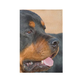 Обложка для паспорта матовая кожа с принтом Ротвейлер в Санкт-Петербурге, натуральная матовая кожа | размер 19,3 х 13,7 см; прозрачные пластиковые крепления | Тематика изображения на принте: большая | пес | песик | псина | ротвейлер | ротвейлеры | собака | собаки