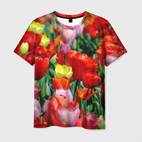 Мужская футболка 3D с принтом Тюльпановый рай в Санкт-Петербурге, 100% полиэфир | прямой крой, круглый вырез горловины, длина до линии бедер | Тематика изображения на принте: 