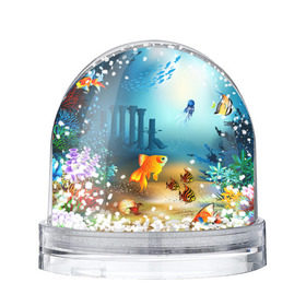 Снежный шар с принтом Золотая рыбка в Санкт-Петербурге, Пластик | Изображение внутри шара печатается на глянцевой фотобумаге с двух сторон | Тематика изображения на принте: вода | водоросли | море | подводный мир | природа | рыба | рыбка | туризм