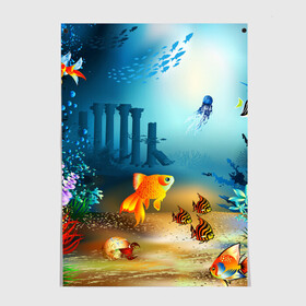 Постер с принтом Золотая рыбка в Санкт-Петербурге, 100% бумага
 | бумага, плотность 150 мг. Матовая, но за счет высокого коэффициента гладкости имеет небольшой блеск и дает на свету блики, но в отличии от глянцевой бумаги не покрыта лаком | Тематика изображения на принте: вода | водоросли | море | подводный мир | природа | рыба | рыбка | туризм